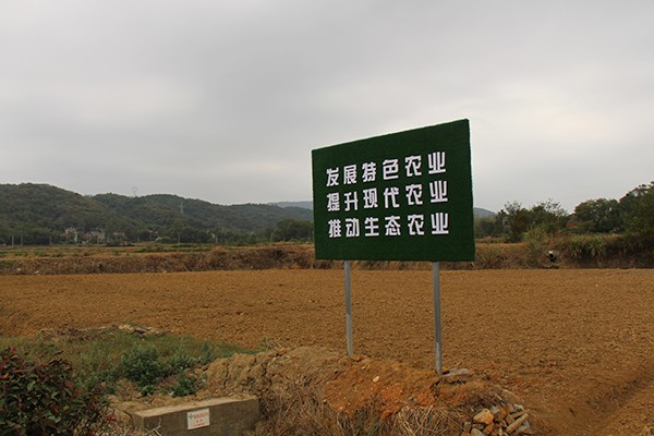 種植基地